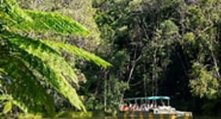 Rainforestation Nature Park Cairns, Australia