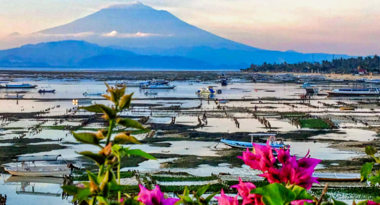 Lembongan Island Seaweed Farm