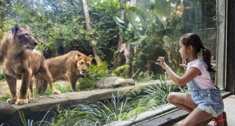 Bali Zoo