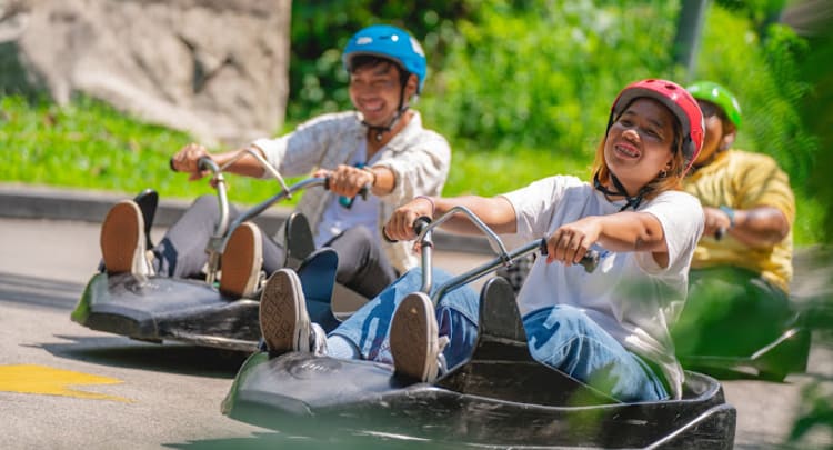 Skyline Luge