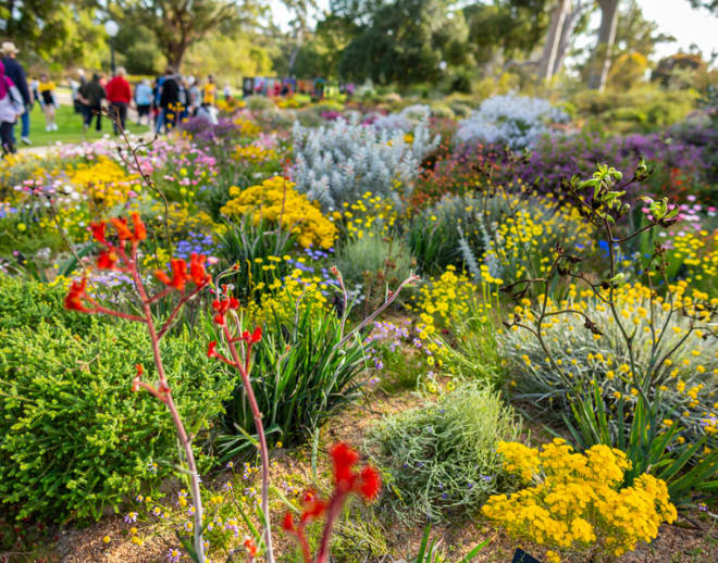 Kings Park and Botanic Garden Tickets Image