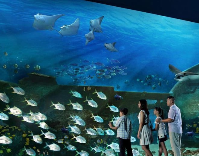 Sea Aquarium Sentosa, Singapore (Tickets) Image