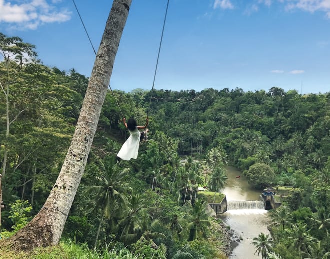 Bali Swing, Ubud Image