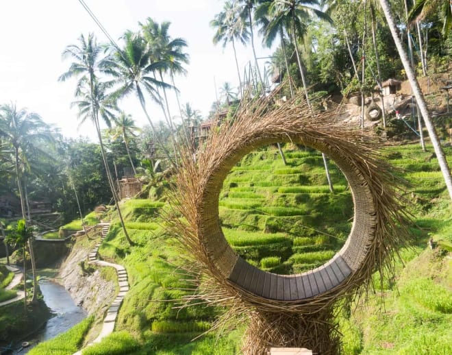 Bali Swing, Ubud Image