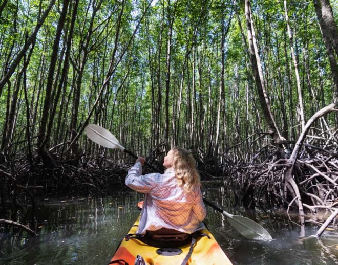 Kayaking in Krabi Image