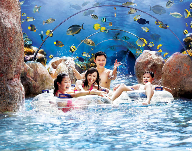 Adventure Cove Waterpark Tickets Image