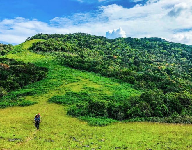 Narasimha Parvatha Trek Agumbe Image