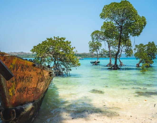 Andaman Beach Tour Package Image