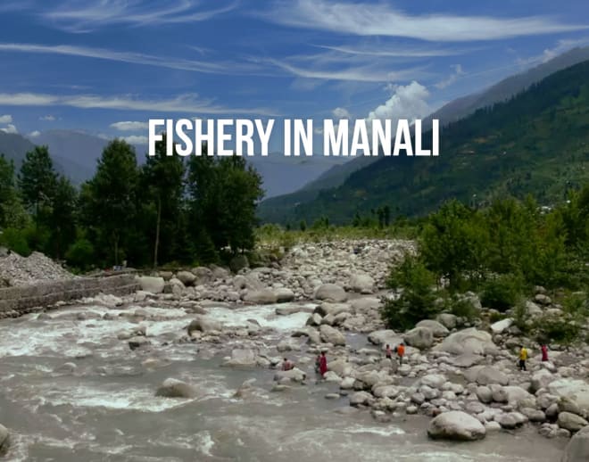 Manali Fishing Image