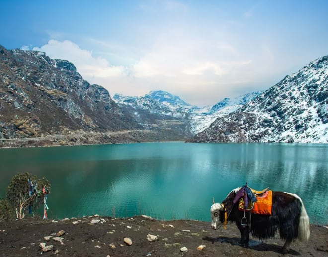Gangtok Pelling Darjeeling Tour Package Image