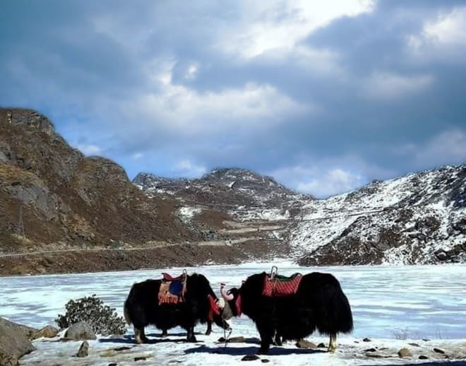 6 Days Enthralling Group Tour of Sikkim Image
