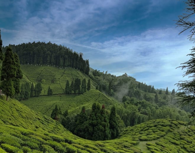 Private Darjeeling Gangtok Tour Package Image