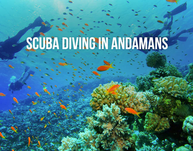 Andaman Nicobar Tour Package with Scuba Diving Image