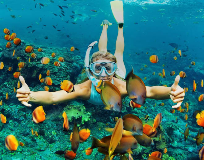 Andaman Nicobar Tour Package with Scuba Diving Image