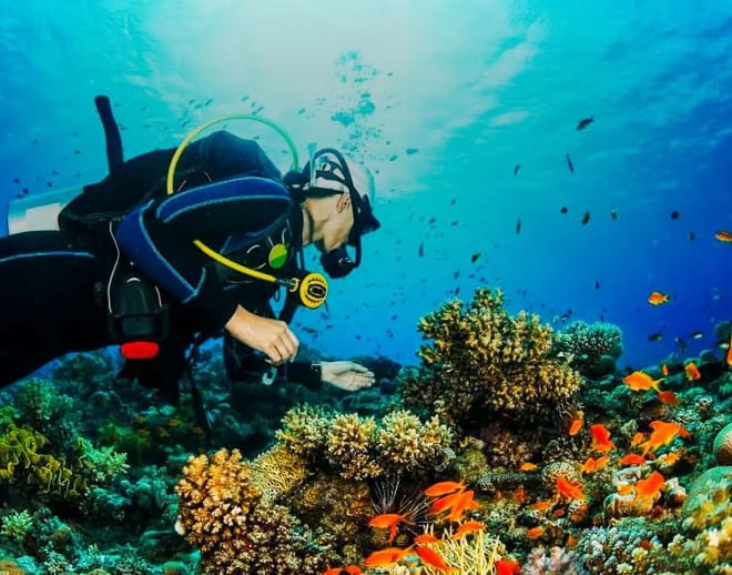 Andaman Nicobar Tour Package with Scuba Diving Image