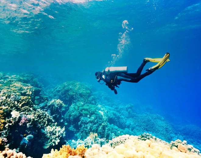 Andaman Nicobar Tour Package with Scuba Diving Image