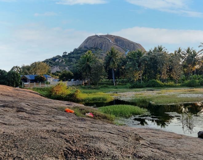 Q Mango Forest Adventure Resort Camping Ramanagara Image