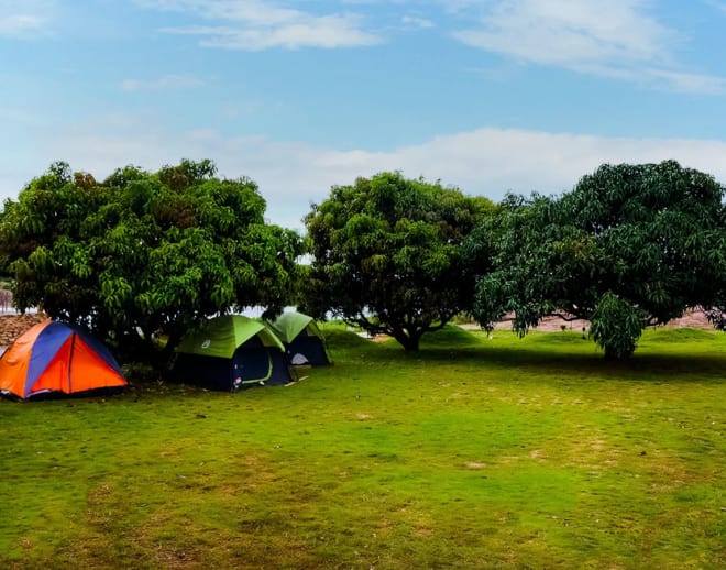 Q Mango Forest Adventure Resort Camping Ramanagara Image