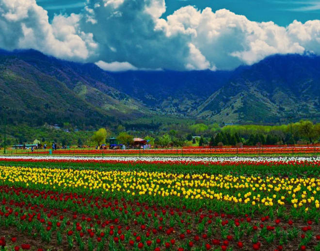 Srinagar to Pahalgam Day Trip Image