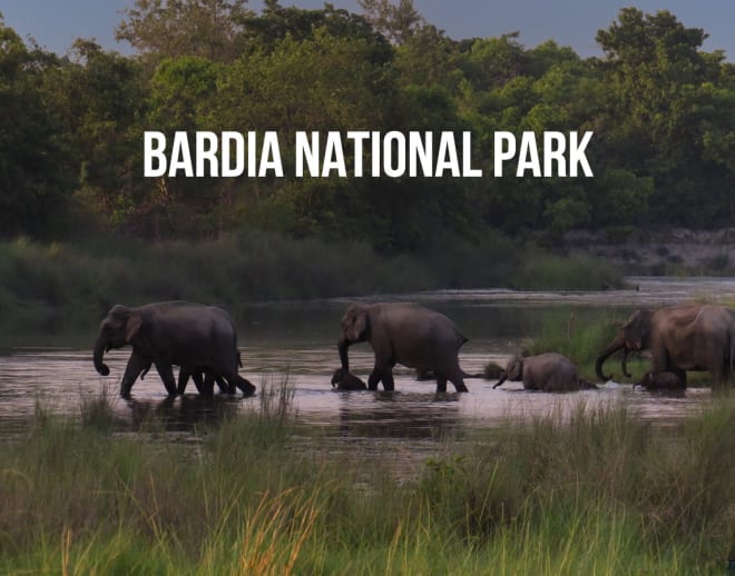 Bardia National Park Image