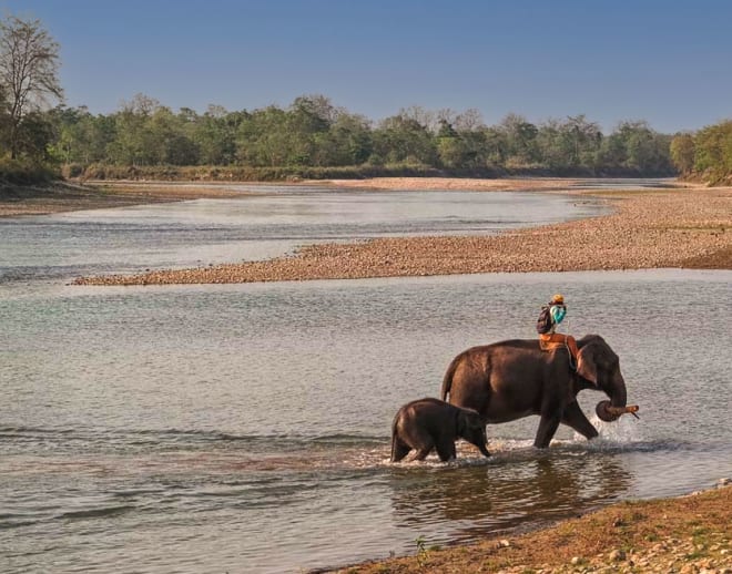 Bardia National Park Image