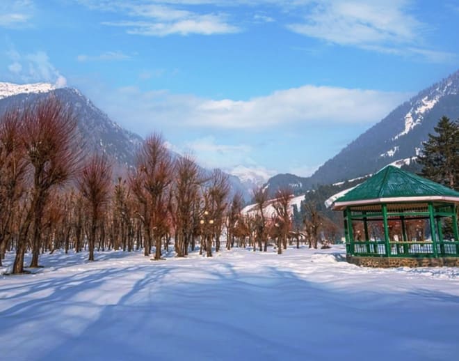 Kashmir Winter Trip Image