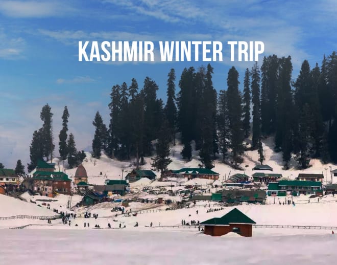 Kashmir Winter Trip Image