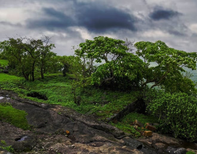 Asawa Fort Trek Image