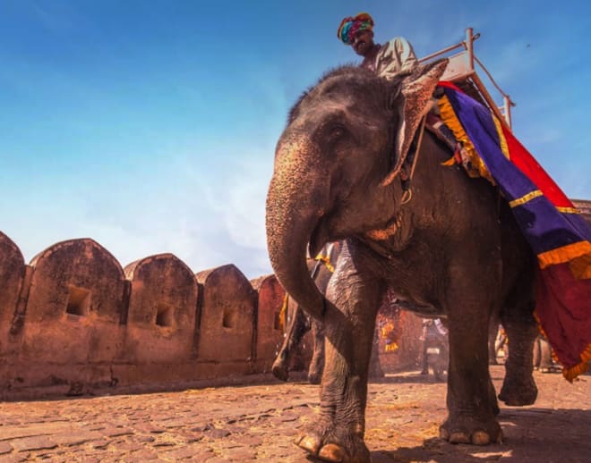 Elephant safari at Dera Amer, Jaipur Image