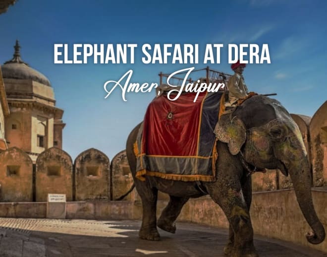 Elephant safari at Dera Amer, Jaipur Image