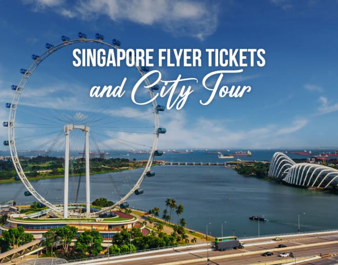 Singapore Flyer Tickets and City Tour Image