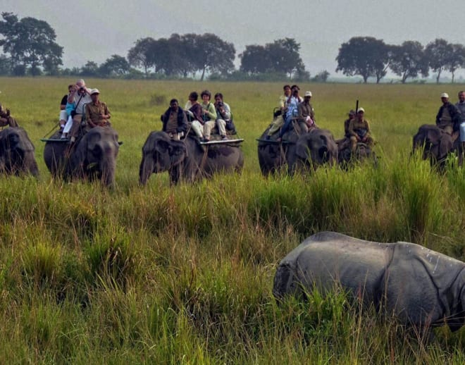 Jim Corbett National Park Package Image