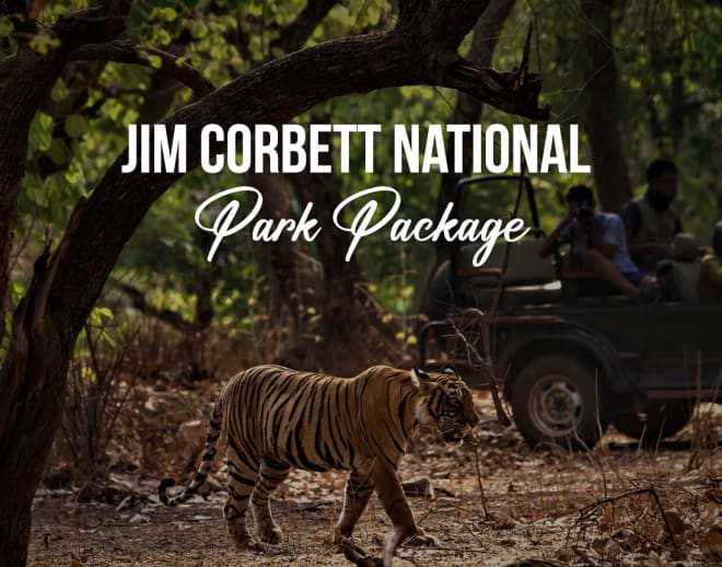 Jim Corbett National Park Package Image