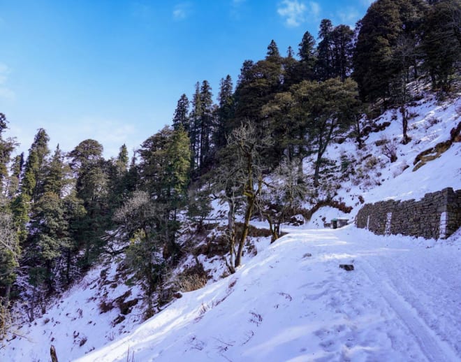 Narkanda Skiing Image