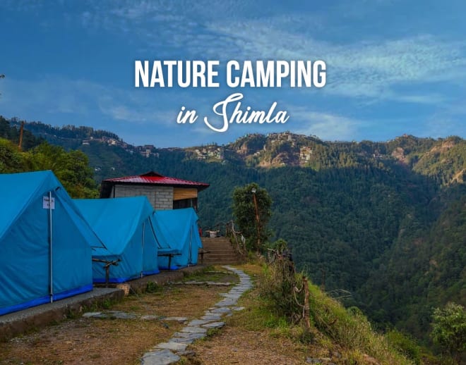 Nature Camping in Shimla Image