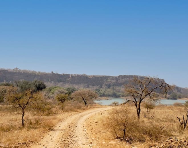 Ranthambore National Park Safari Image