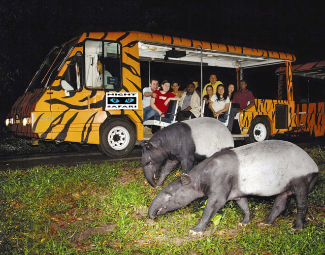 An Odyssey To Singapore with Night Safari Image