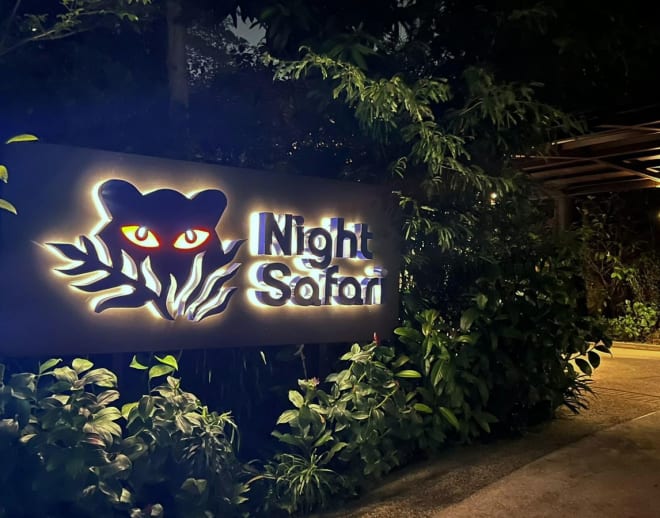 An Odyssey To Singapore with Night Safari Image