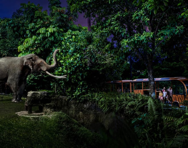 An Odyssey To Singapore with Night Safari Image