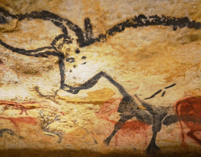 Lascaux Cave Tour Image