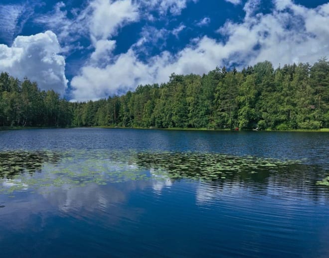Nuuksio National Park Tickets Image