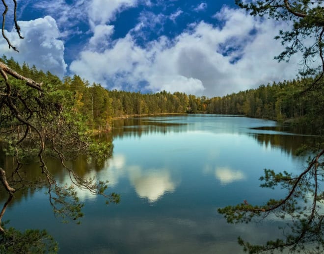 Nuuksio National Park Tickets Image