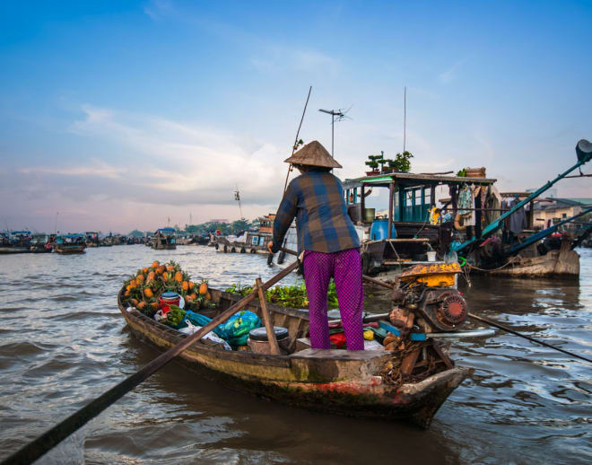 Mekong Delta Tour from Ho Chi Minh Image