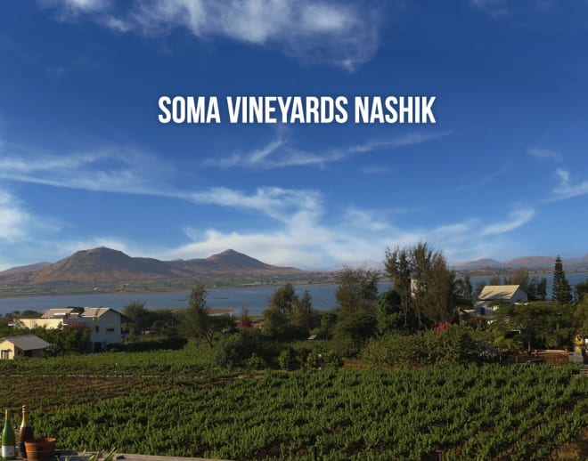 Soma Vineyards Nashik Image