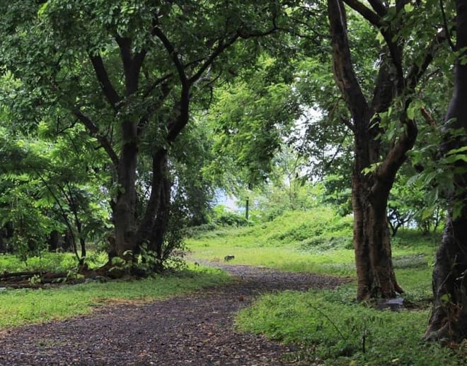 Maharashtra nature park Tour Image