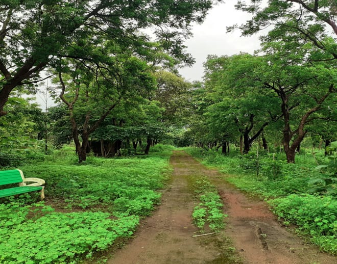 Maharashtra nature park Tour Image