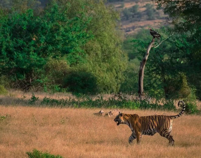 Maharashtra nature park Tour Image