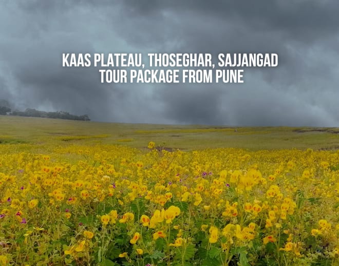 Kaas Plateau, Thoseghar, Sajjangad Tour Package from Pune Image