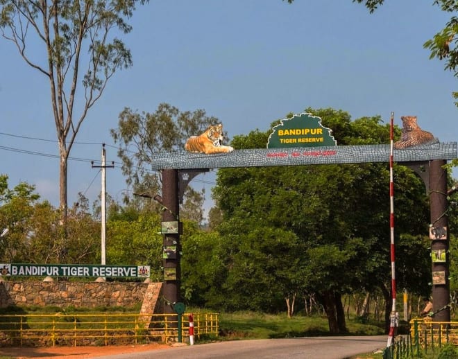 Bandipur Tiger Reserve and Bandipur National Park Image