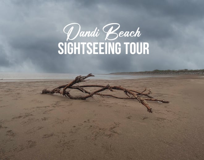 Dandi Beach Sightseeing Tour From Surat Image